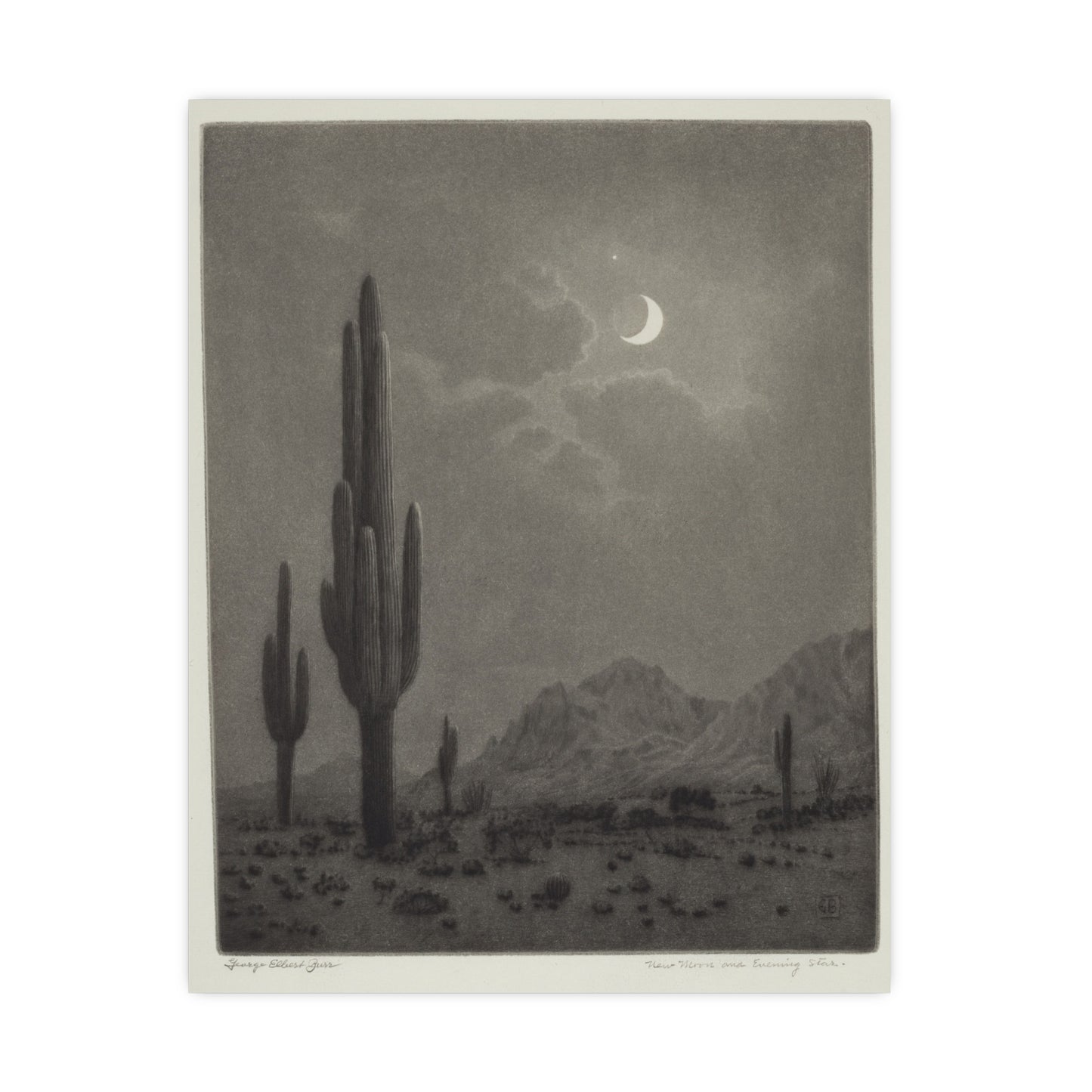 New Moon and Evening Star over Cactus- Celestial Fine Art Poster