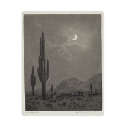 New Moon and Evening Star over Cactus- Celestial Fine Art Poster