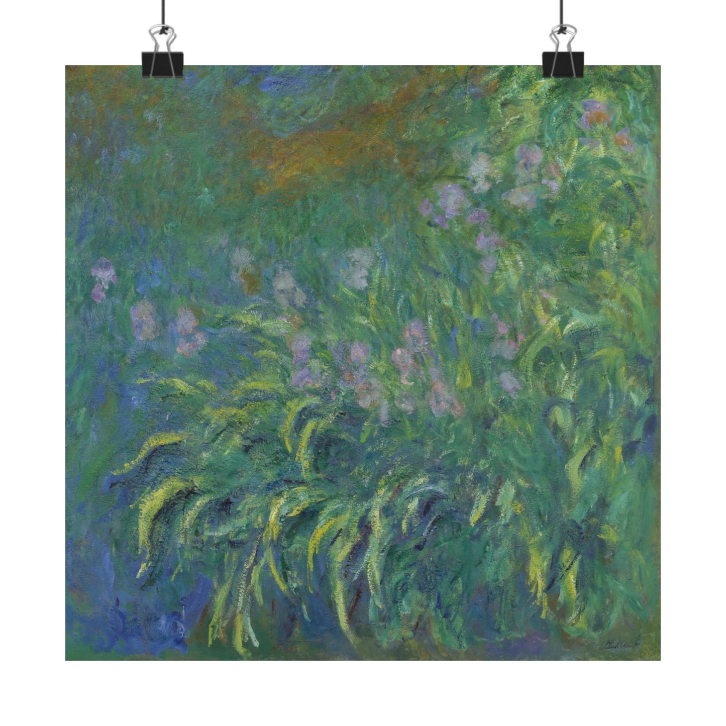 Claude Monet - Irises Botanical Fine Art Print