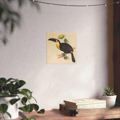 Tropical Toucan - Vintage Birdwatcher Art Print - Matte Vertical Poster - Elegant Bird Wall Art for Nature Lovers