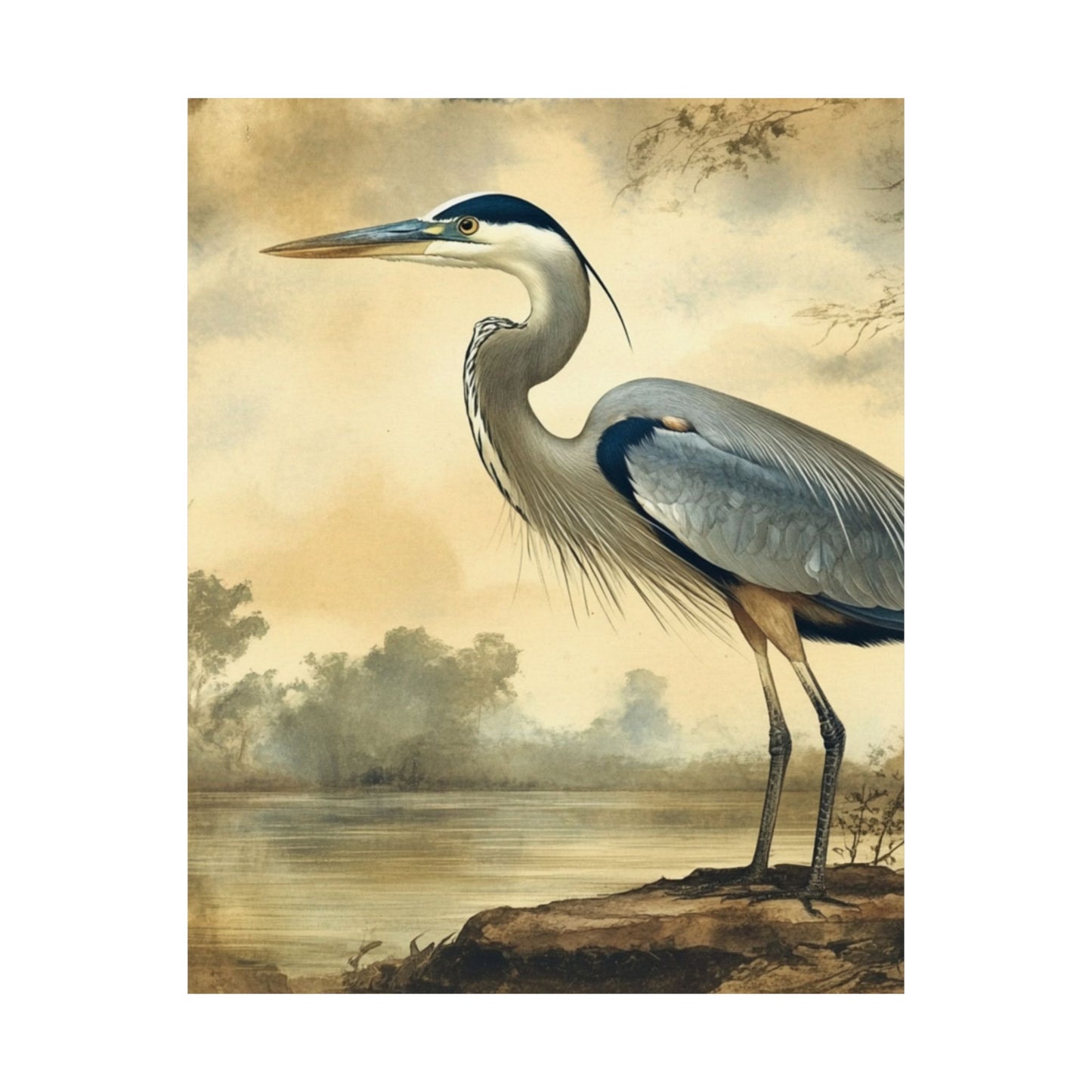 Elegant Blue Heron Coastal Fine Art Print