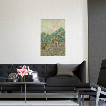 The Olive Orchard - Van Gogh Fine Art Poster