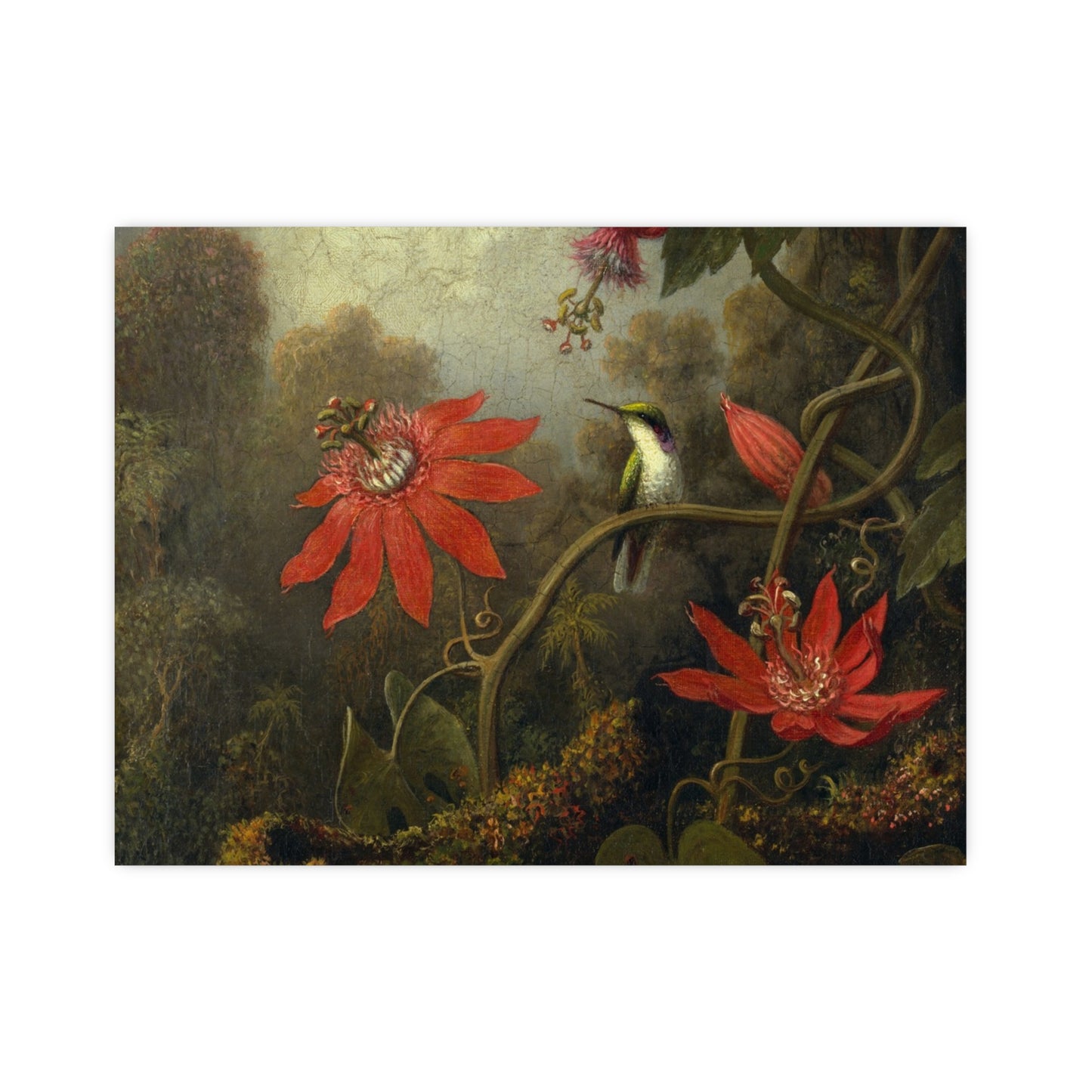 Hummingbird in Lush Tropical Landscape - Museum Collection - Fine Art Poster