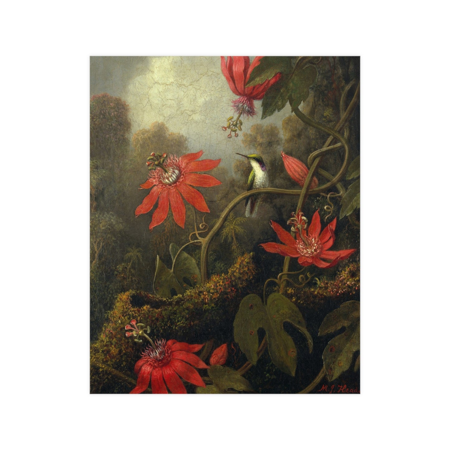 Hummingbird in Lush Tropical Landscape - Museum Collection - Fine Art Poster