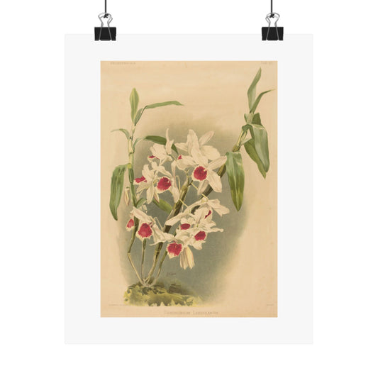 Splendid Blooms Vintage Botanical Print - Floral Vertical Poster - Botanical Wall Art Décor