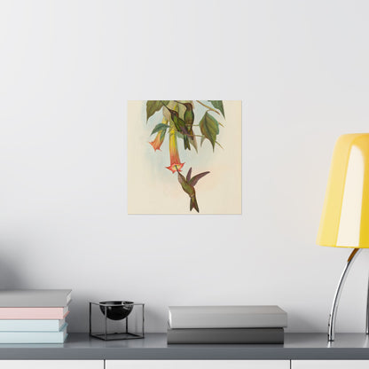 Hummingbird Botanical Art Print - Matte Vertical Poster - Nature Inspired Wall Art - Vintage Bird Watcher Art