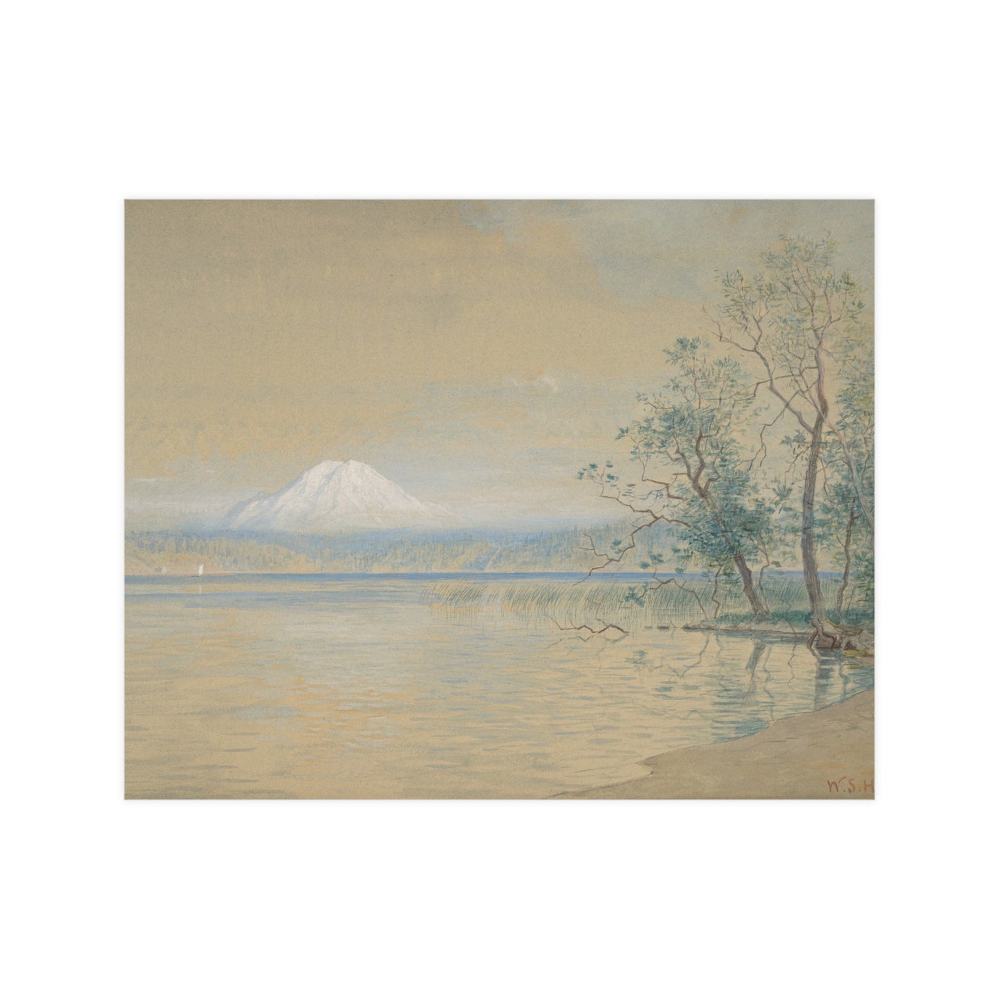 Mount Tacoma - Pacific Northwest Landscape Fine Art Poster