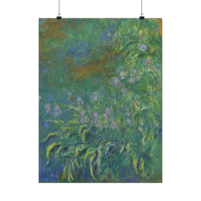 Claude Monet - Irises Botanical Fine Art Print