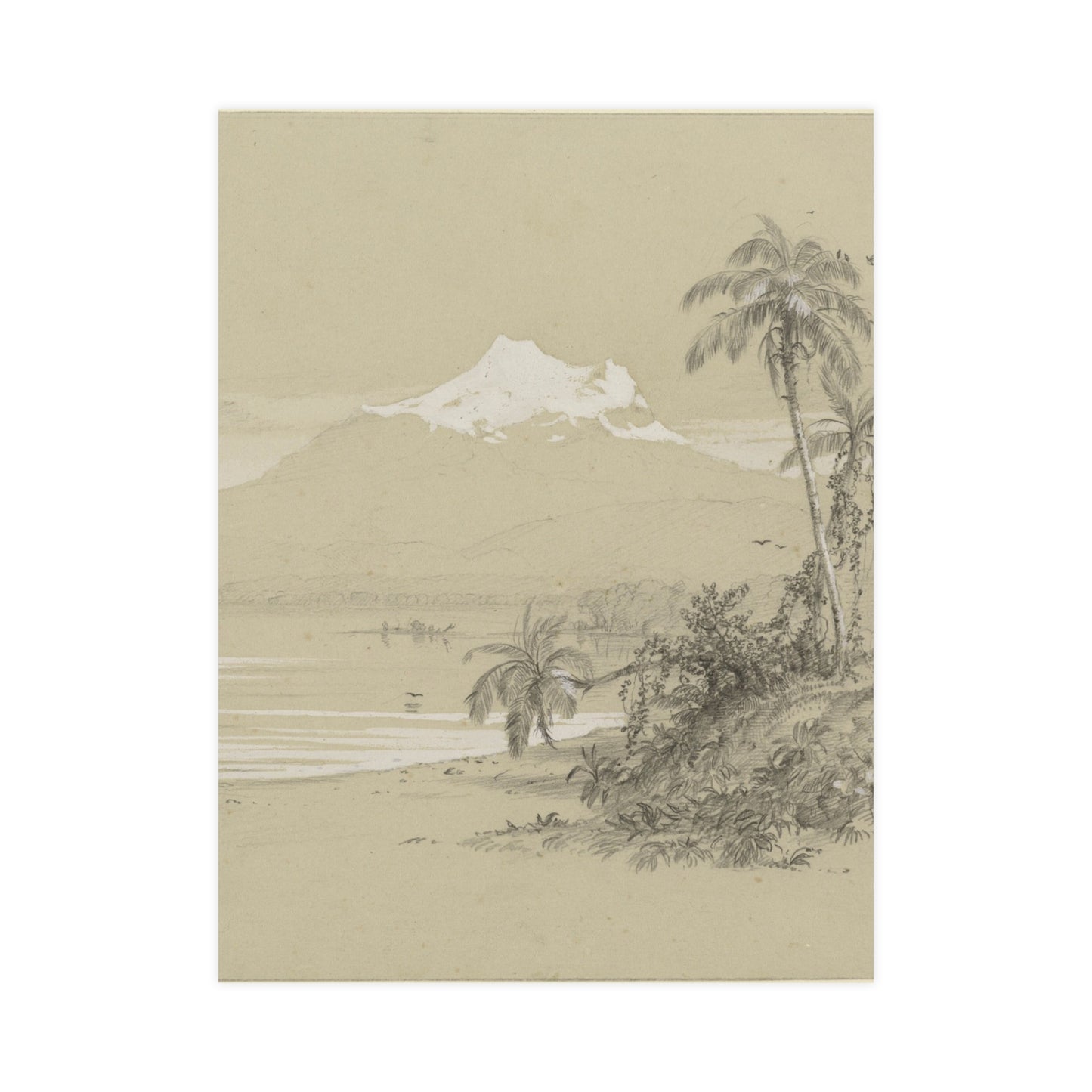 Magdalena River South America - Tropical Landscape Fine Art Poster