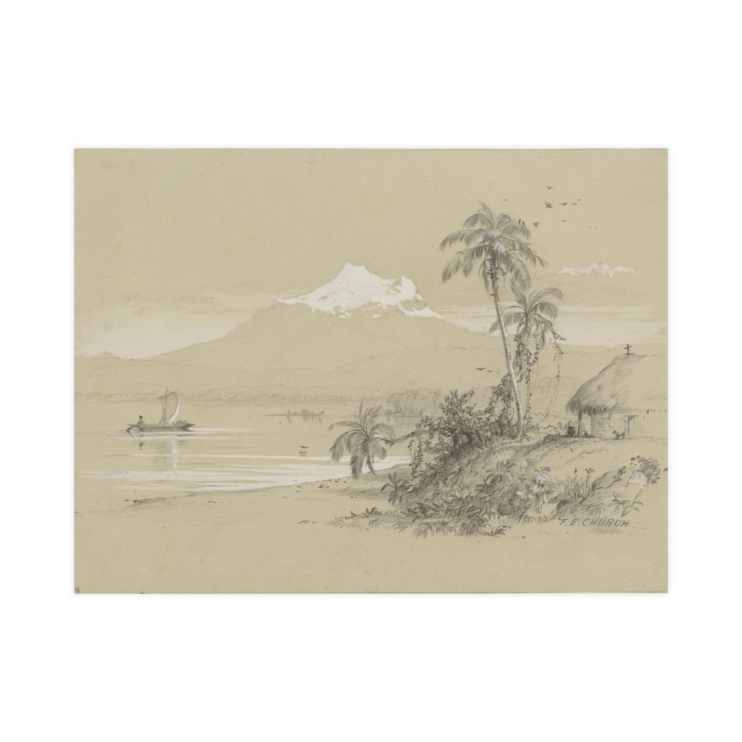 Magdalena River South America - Tropical Landscape Fine Art Poster