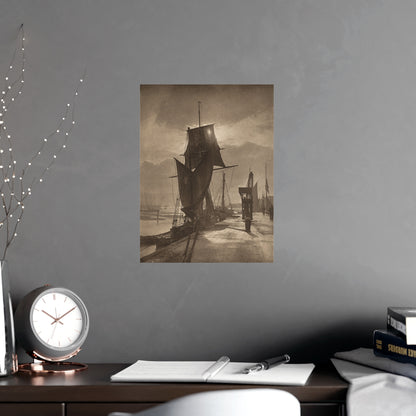 Sunshine and Shadow - Forest Interior Fine Art Poster