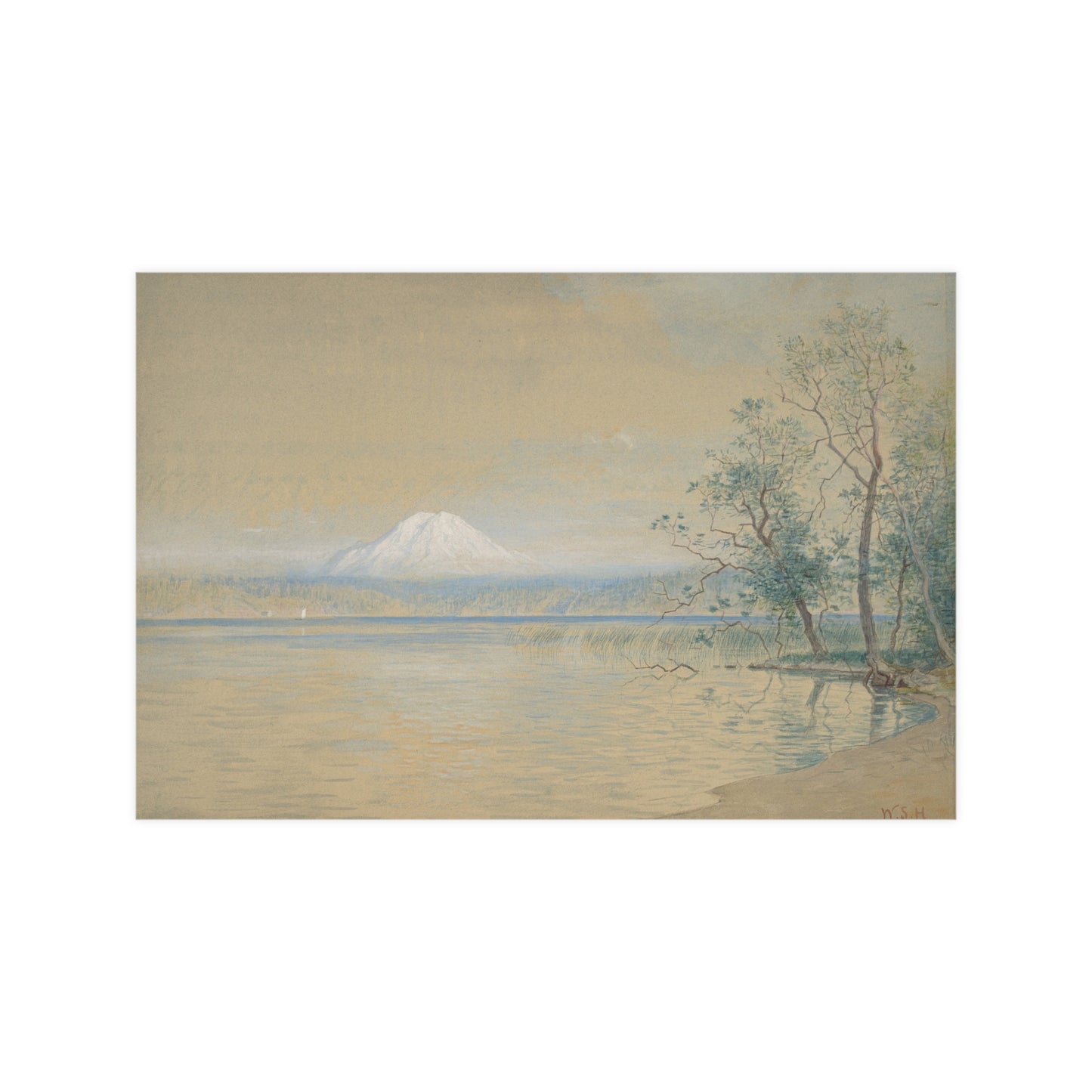 Mount Tacoma - Pacific Northwest Landscape Fine Art Poster