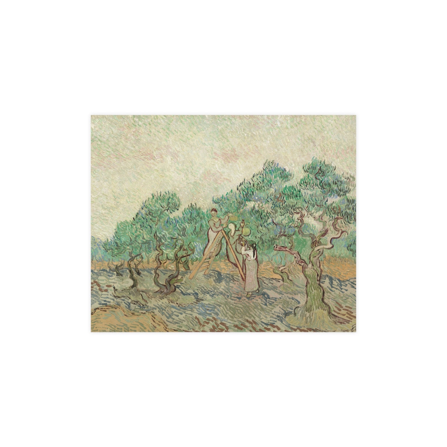 The Olive Orchard - Van Gogh Fine Art Poster