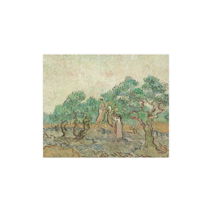 The Olive Orchard - Van Gogh Fine Art Poster