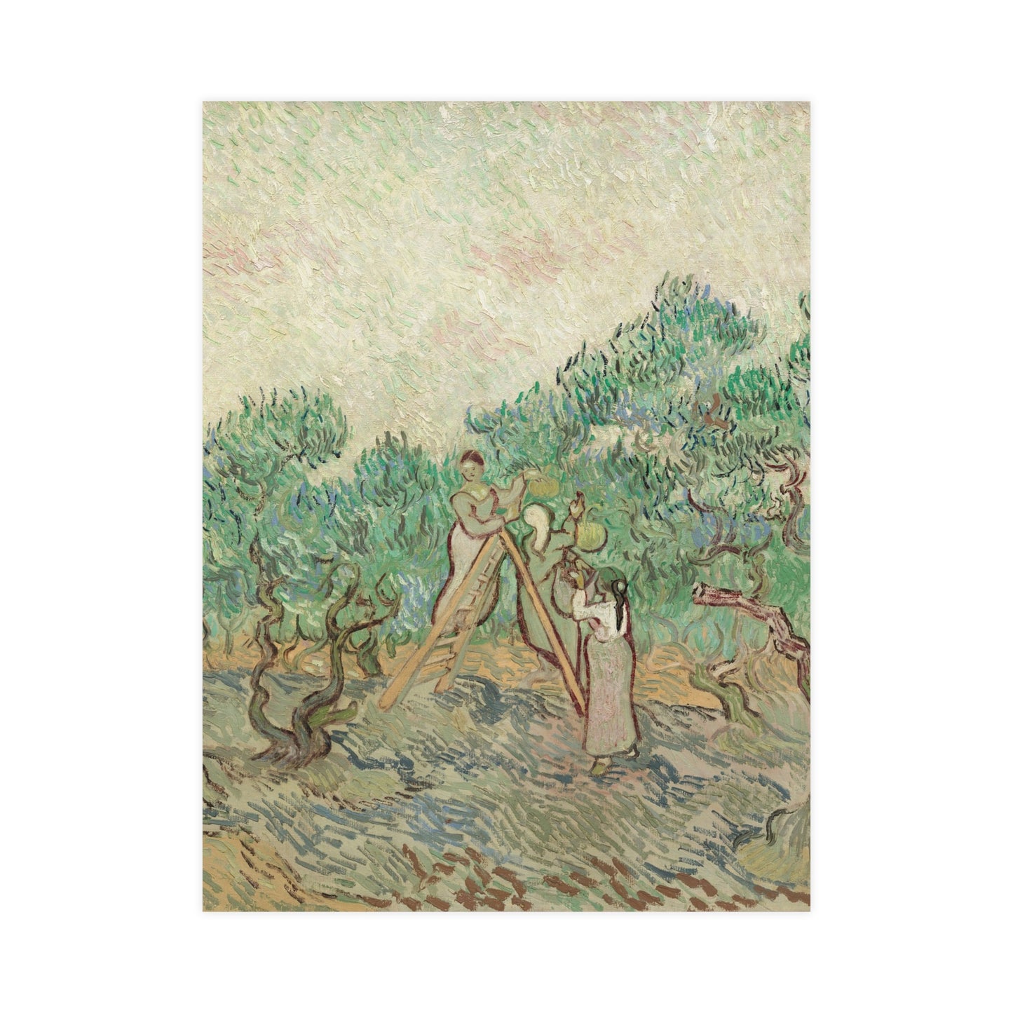 The Olive Orchard - Van Gogh Fine Art Poster