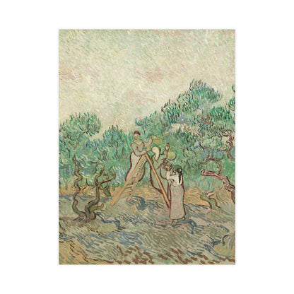 The Olive Orchard - Van Gogh Fine Art Poster