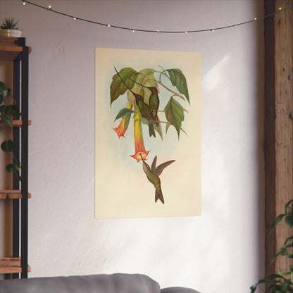 Hummingbird Botanical Art Print - Matte Vertical Poster - Nature Inspired Wall Art - Vintage Bird Watcher Art