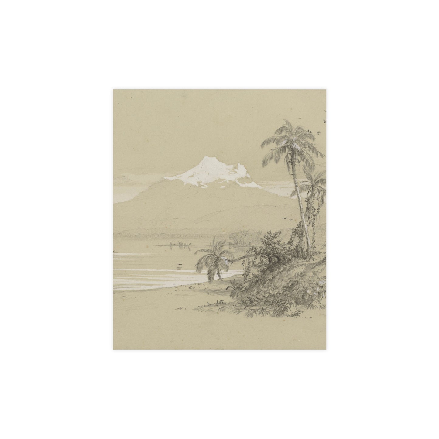 Magdalena River South America - Tropical Landscape Fine Art Poster