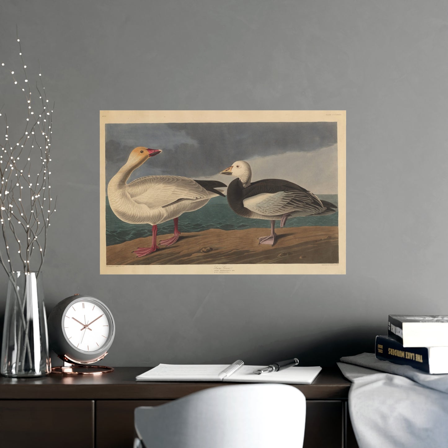 Snow Goose - Audubon Fine Art Poster