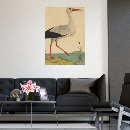 White Stork - Vintage Natural History Fine Art Poster