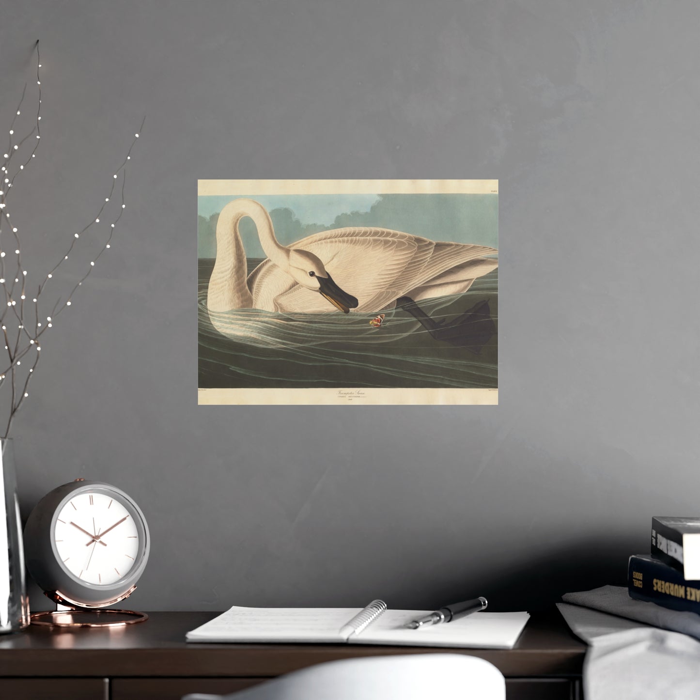 Trumpeter Swan - Audubon Fine Art Poster