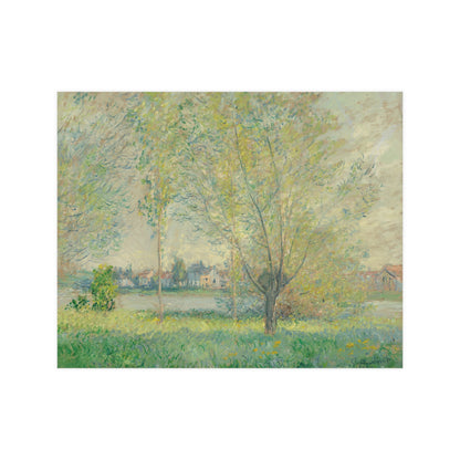 The Willows - Peaceful Landscape Fine Art Poster