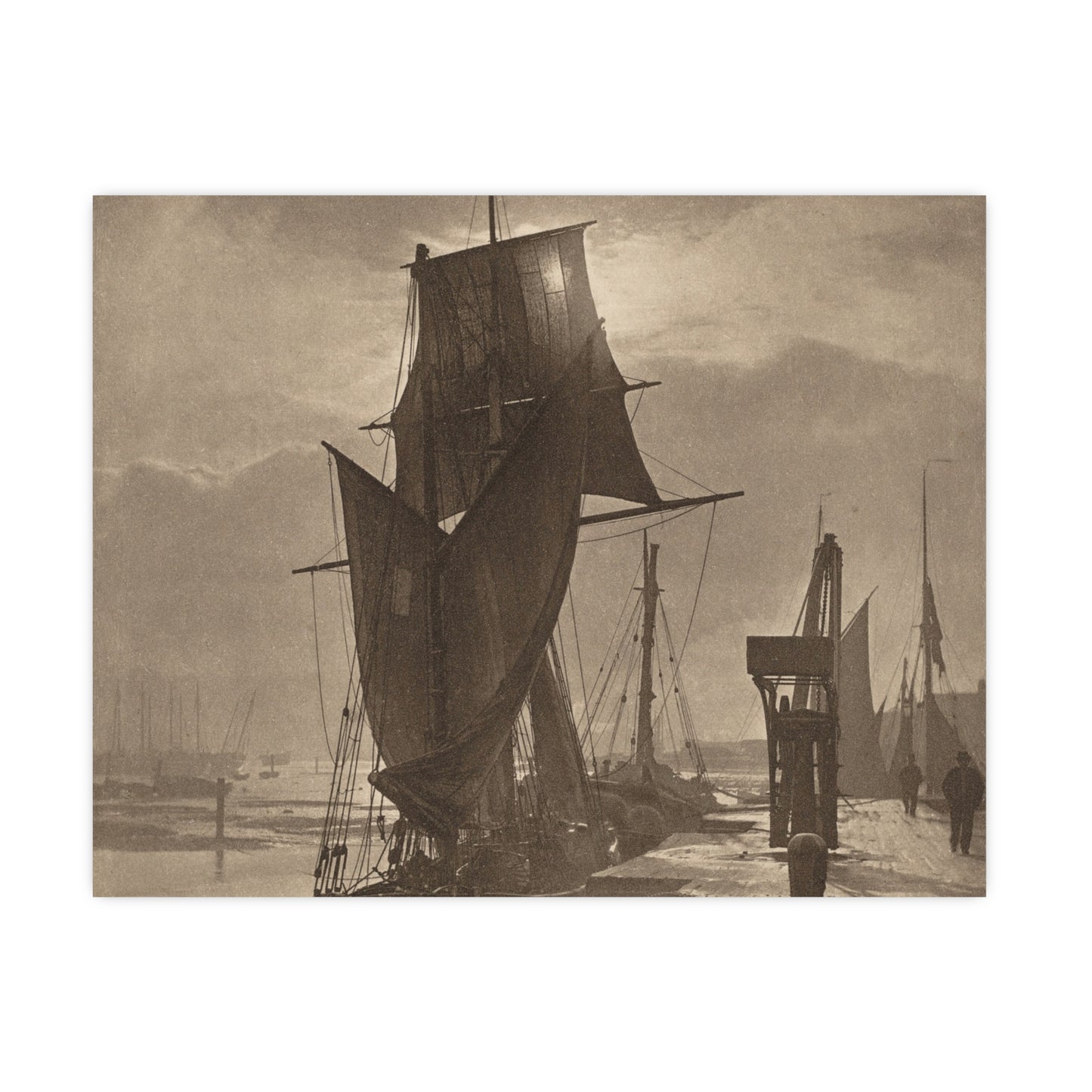 Sunshine and Shadow - Forest Interior Fine Art Poster