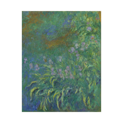 Claude Monet - Irises Botanical Fine Art Print