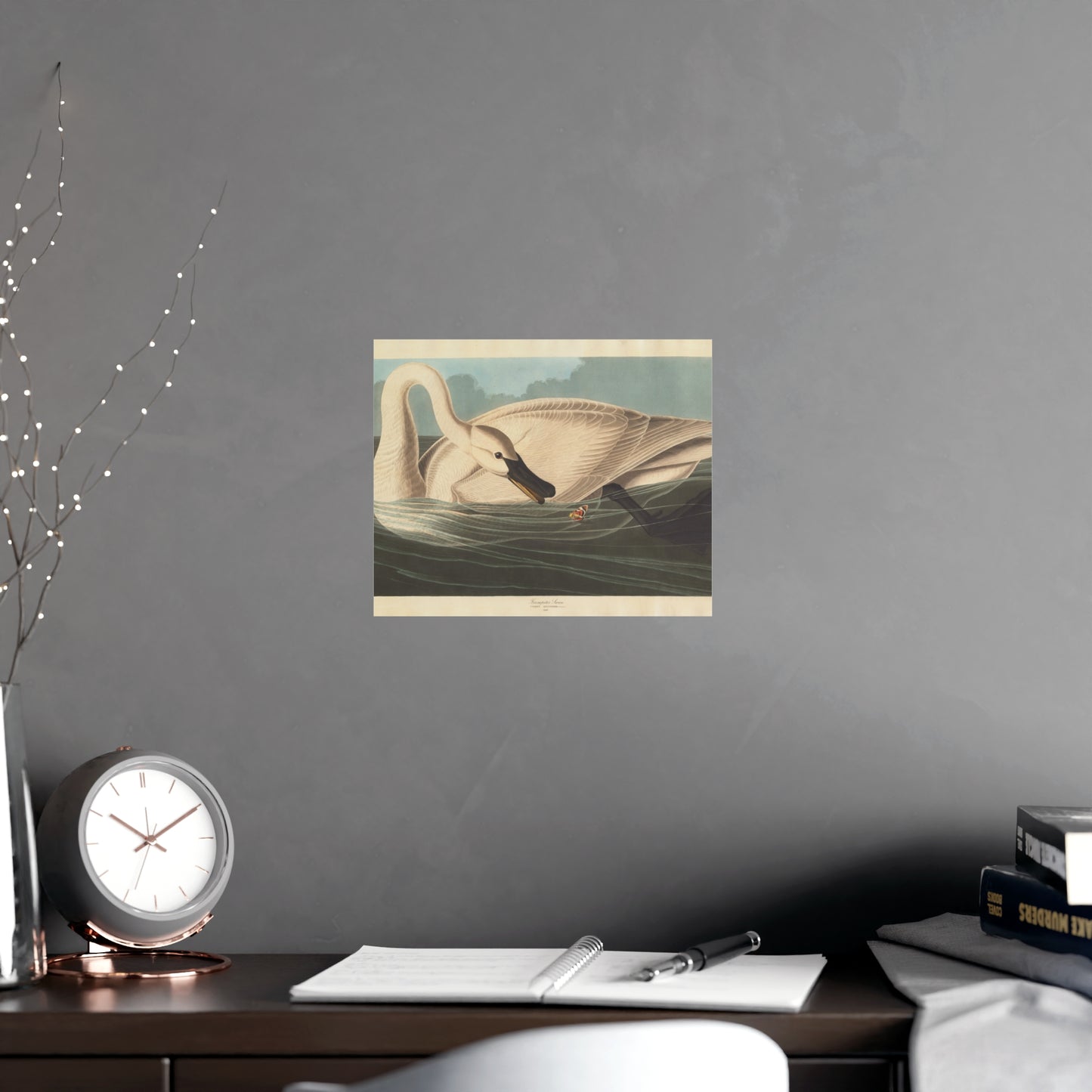 Trumpeter Swan - Audubon Fine Art Poster