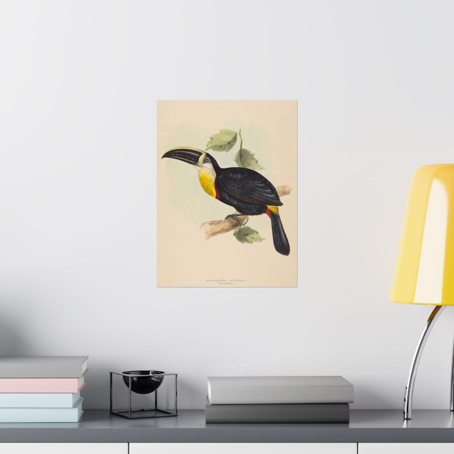 Tropical Toucan - Vintage Birdwatcher Art Print - Matte Vertical Poster - Elegant Bird Wall Art for Nature Lovers