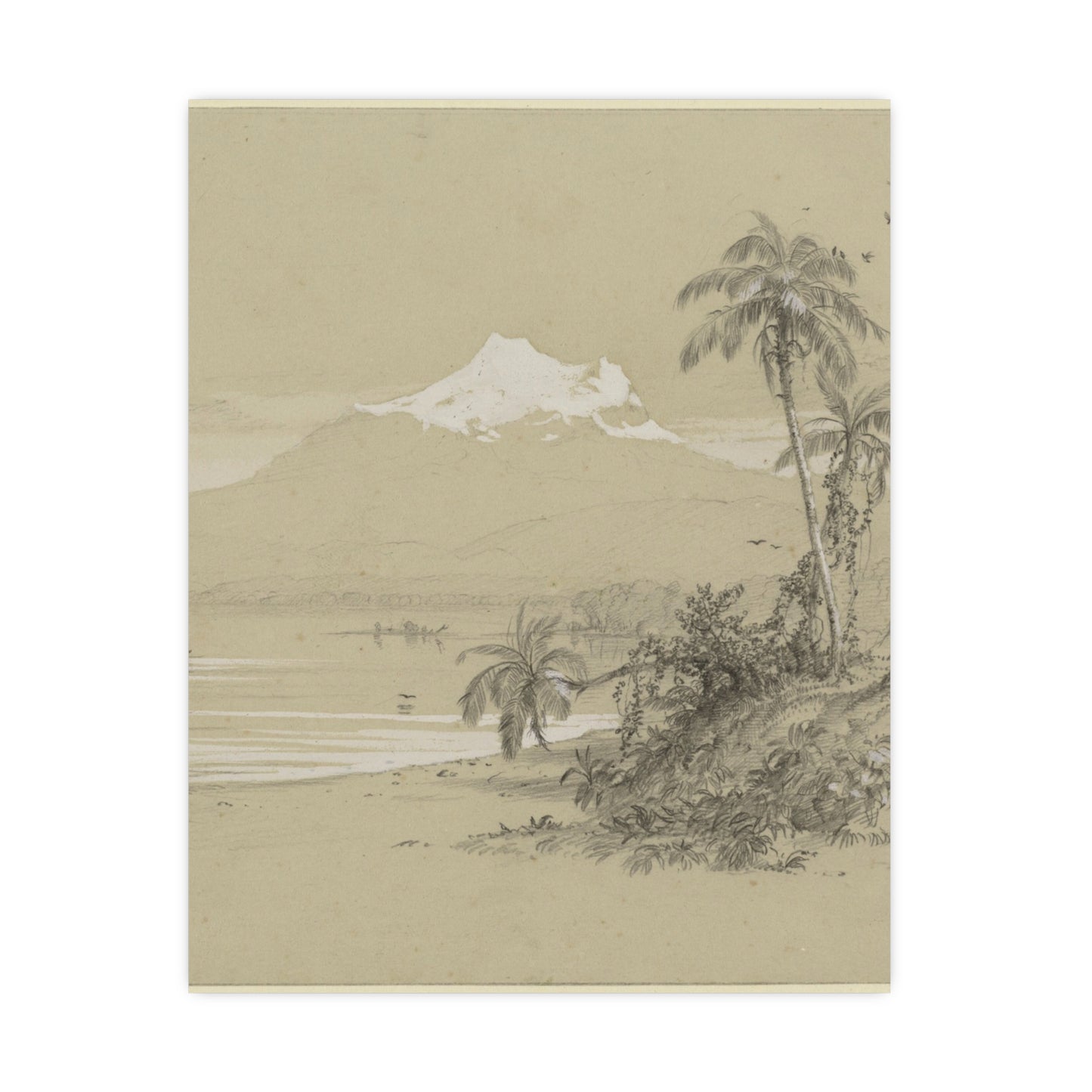 Magdalena River South America - Tropical Landscape Fine Art Poster