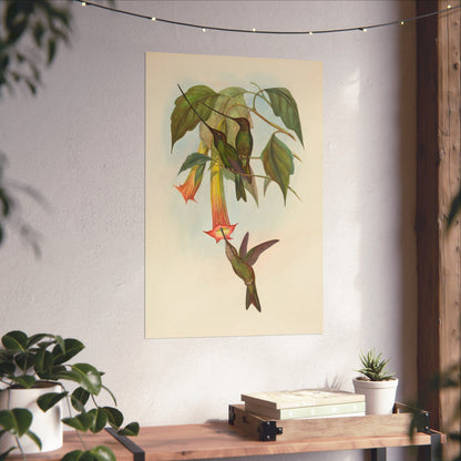 Hummingbird Botanical Art Print - Matte Vertical Poster - Nature Inspired Wall Art - Vintage Bird Watcher Art