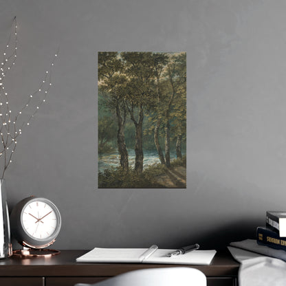 Sunlight Through Trees River Sihl - Forest Landscape Fine Art Poster