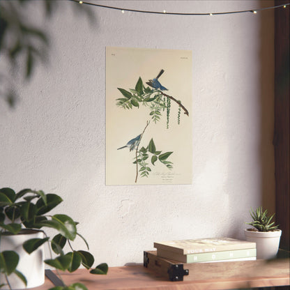 Vintage Bluebirds Botanical Print - Nature-Inspired Art - Matte Vertical Poster with Bluebirds