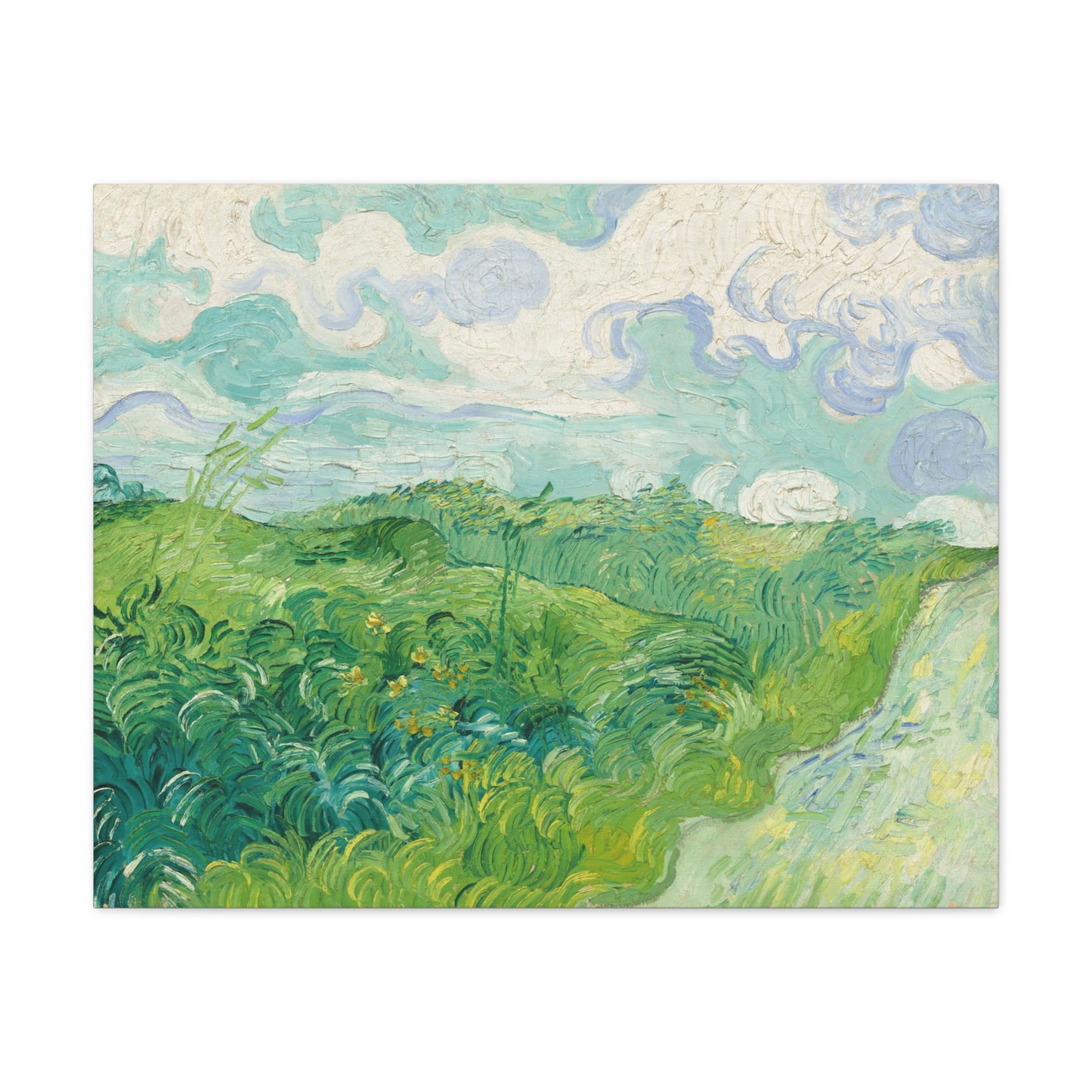 Vincent van Gogh - Green Wheat Fields Fine Art Canvas Print