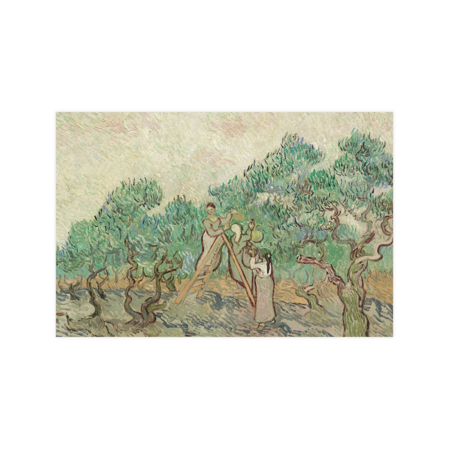 The Olive Orchard - Van Gogh Fine Art Poster