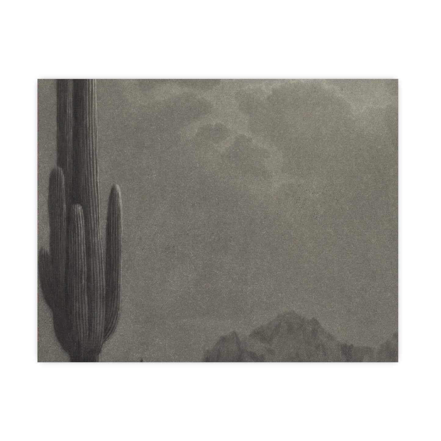 New Moon and Evening Star over Cactus- Celestial Fine Art Poster