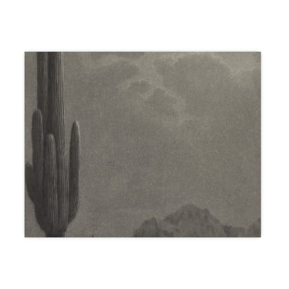 New Moon and Evening Star over Cactus- Celestial Fine Art Poster