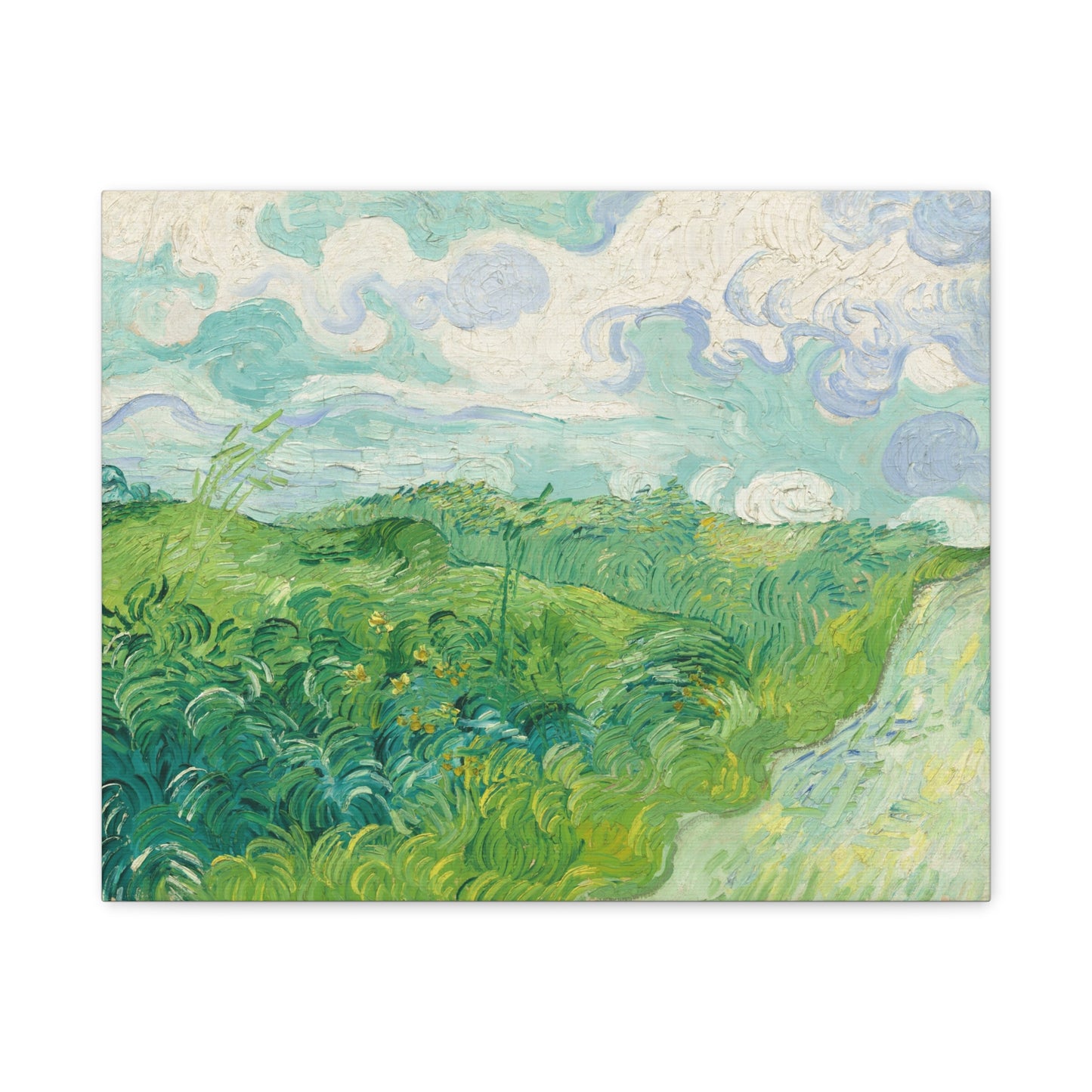 Vincent van Gogh - Green Wheat Fields Fine Art Canvas Print