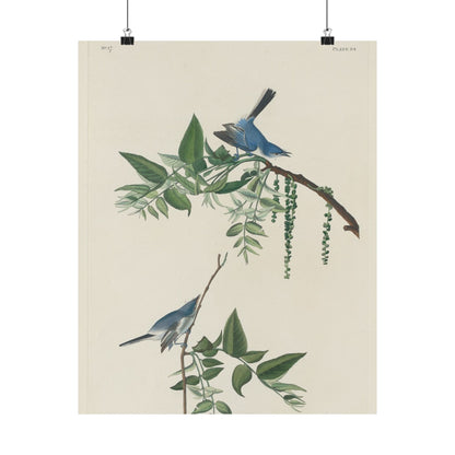 Vintage Bluebirds Botanical Print - Nature-Inspired Art - Matte Vertical Poster with Bluebirds