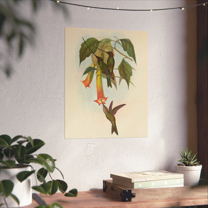 Hummingbird Botanical Art Print - Matte Vertical Poster - Nature Inspired Wall Art - Vintage Bird Watcher Art