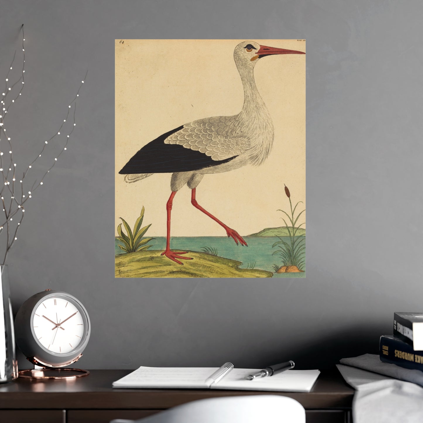 White Stork - Vintage Natural History Fine Art Poster