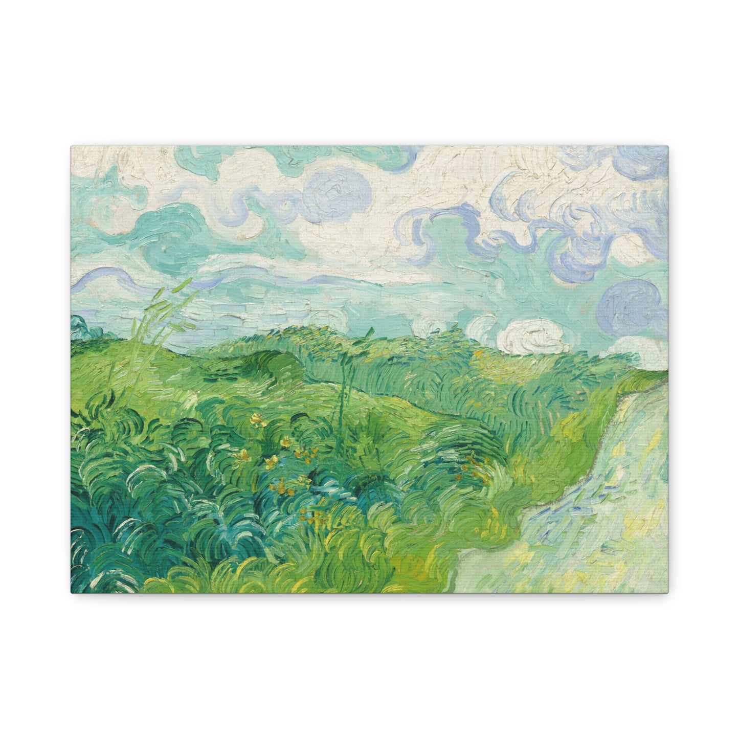 Vincent van Gogh - Green Wheat Fields Fine Art Canvas Print