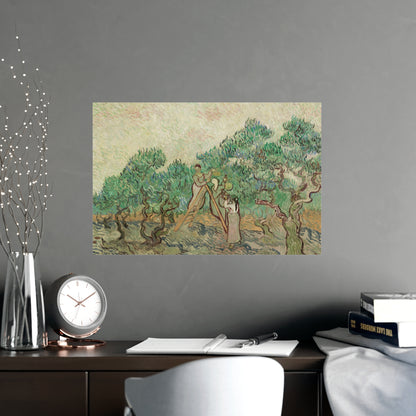 The Olive Orchard - Van Gogh Fine Art Poster