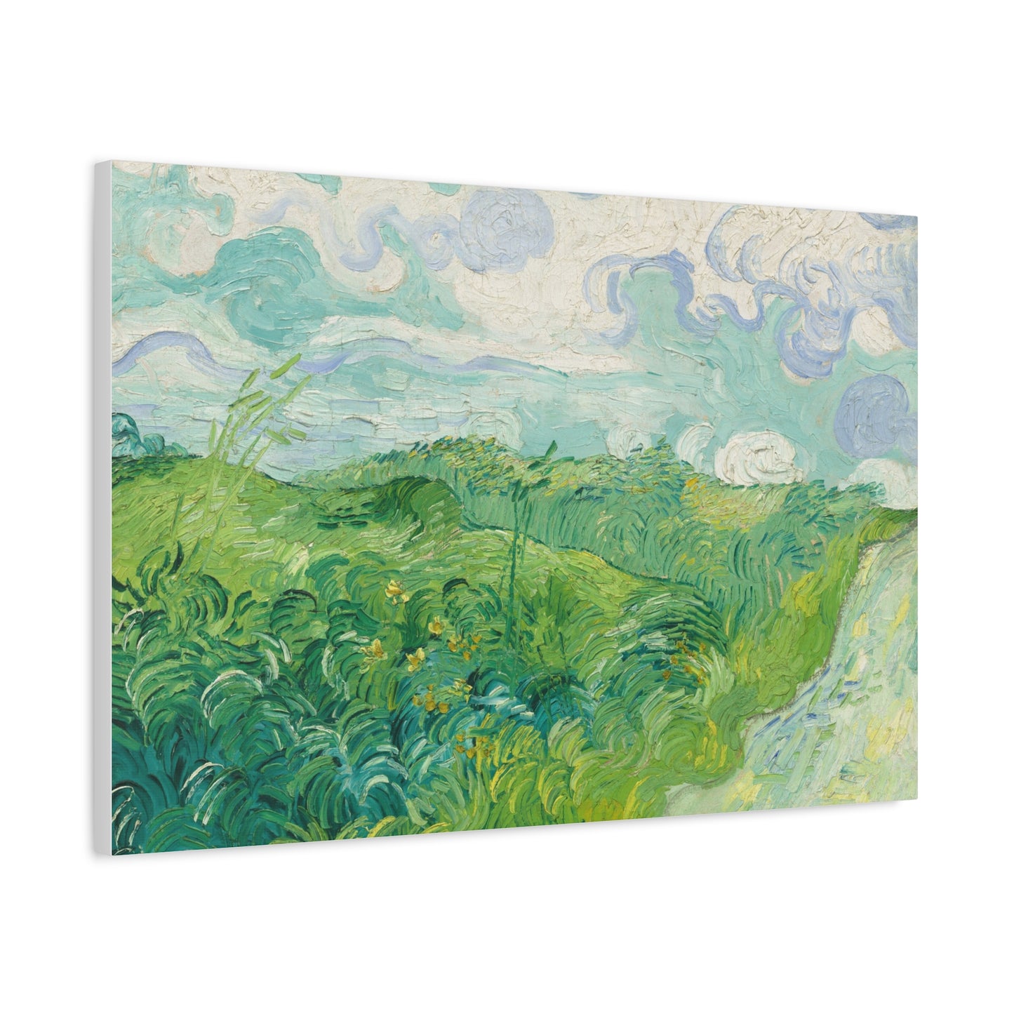 Vincent van Gogh - Green Wheat Fields Fine Art Canvas Print