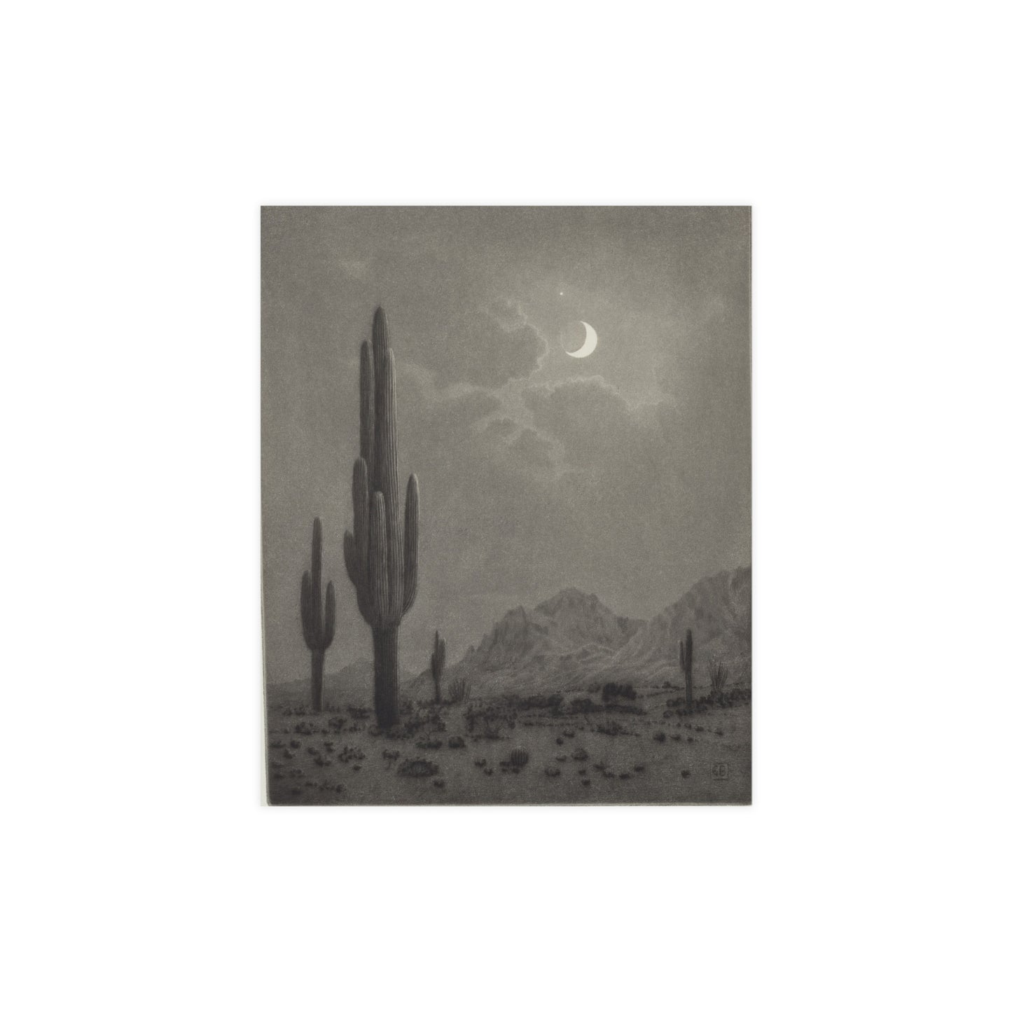 New Moon and Evening Star over Cactus- Celestial Fine Art Poster