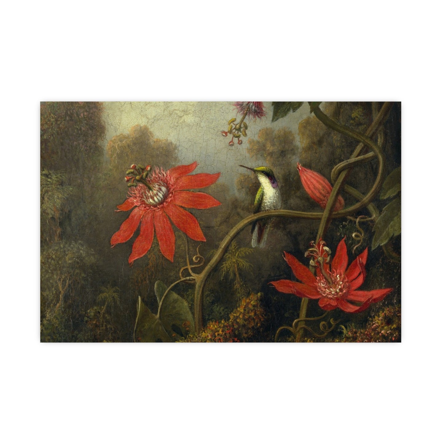 Hummingbird in Lush Tropical Landscape - Museum Collection - Fine Art Poster