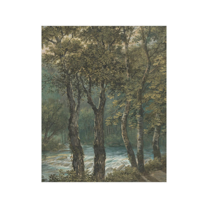 Sunlight Through Trees River Sihl - Forest Landscape Fine Art Poster