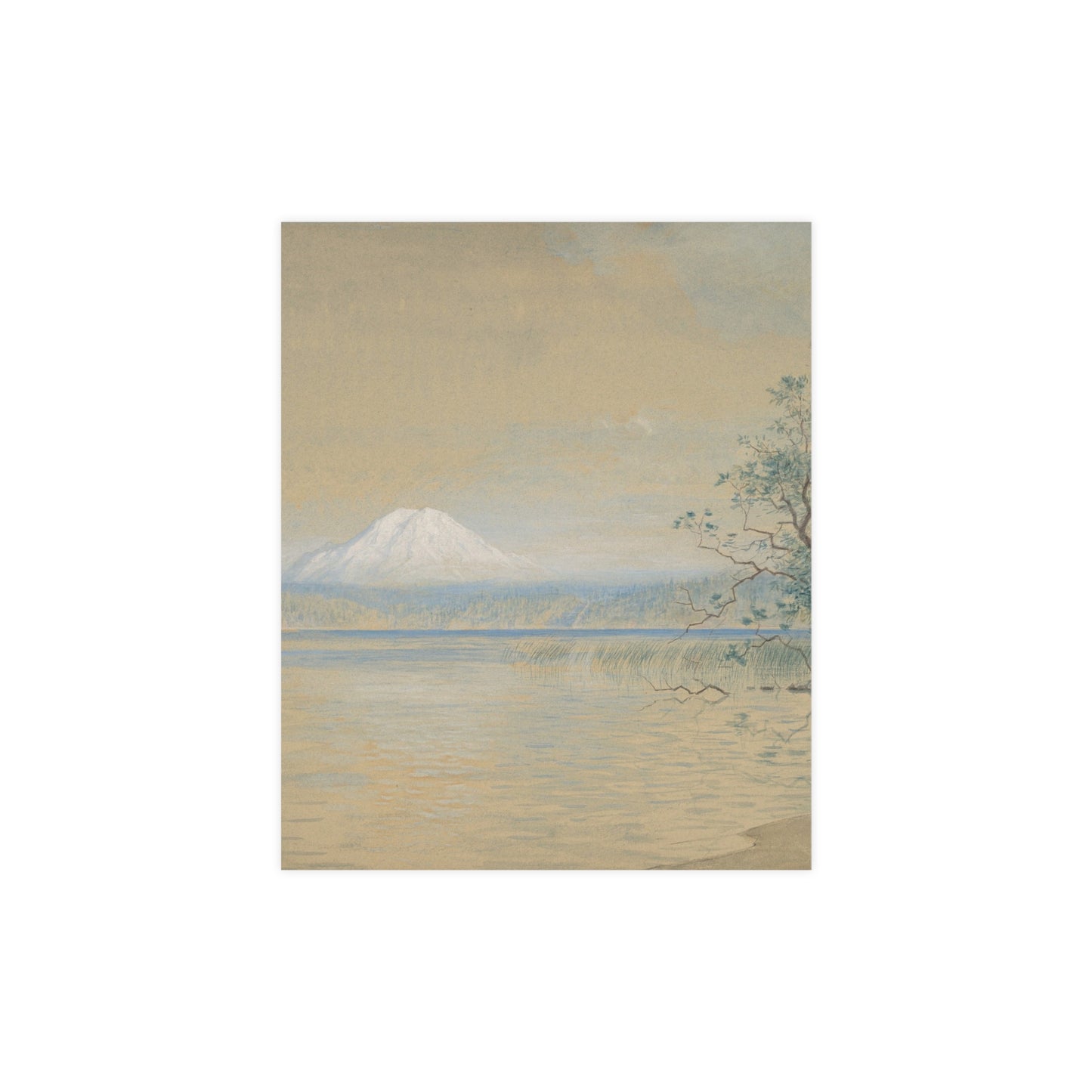 Mount Tacoma - Pacific Northwest Landscape Fine Art Poster