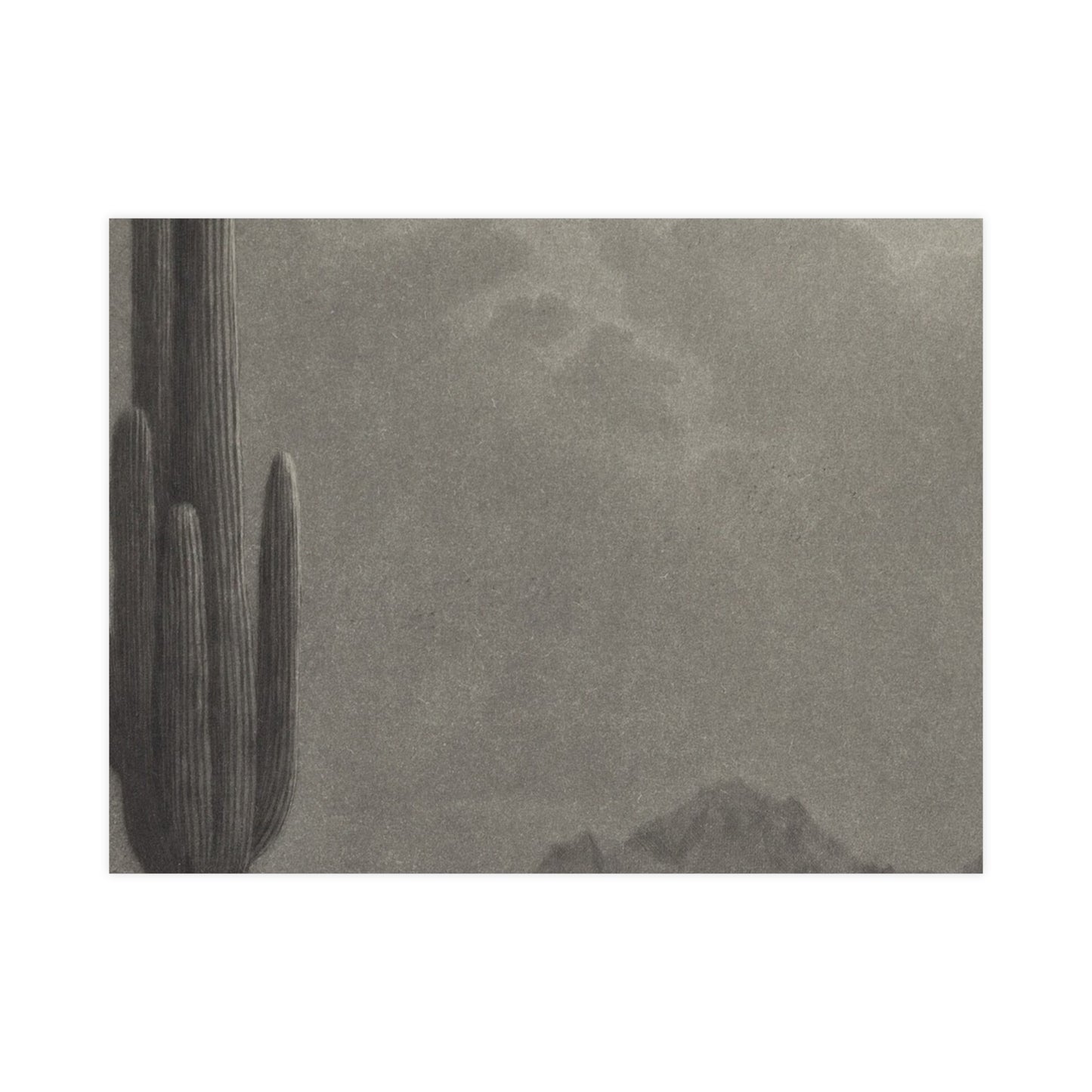 New Moon and Evening Star over Cactus- Celestial Fine Art Poster